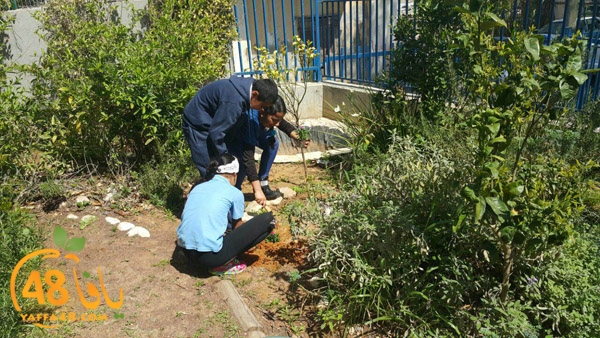 a3mal tayeba 7san3arafa (5).JPG